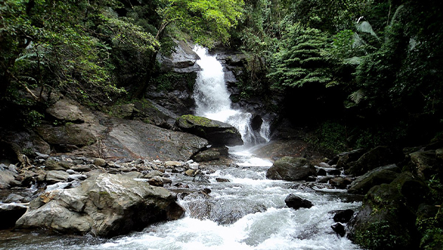 Meenvallam Waterfalls