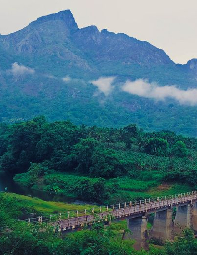 Attappady Scenic Hill Station